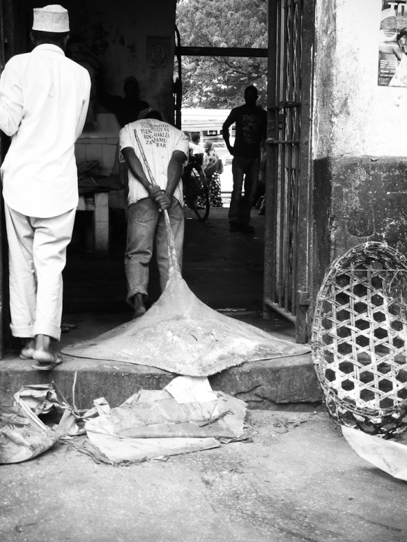 Panasonic TZ30 Street Photography